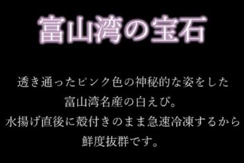 富山湾 名産の 白えび 殻付き 200g /海老 エビ 冷凍 さしみ / くろべの太陽 / 富山県 黒部市
