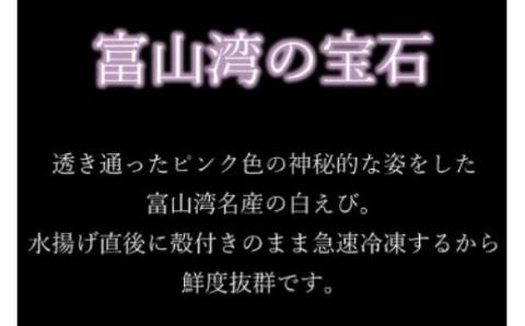 えび 富山湾 名産 白えび 殻付き 200g×3パック 海老 エビ 冷凍 さしみ /くろべの太陽/富山県 黒部市