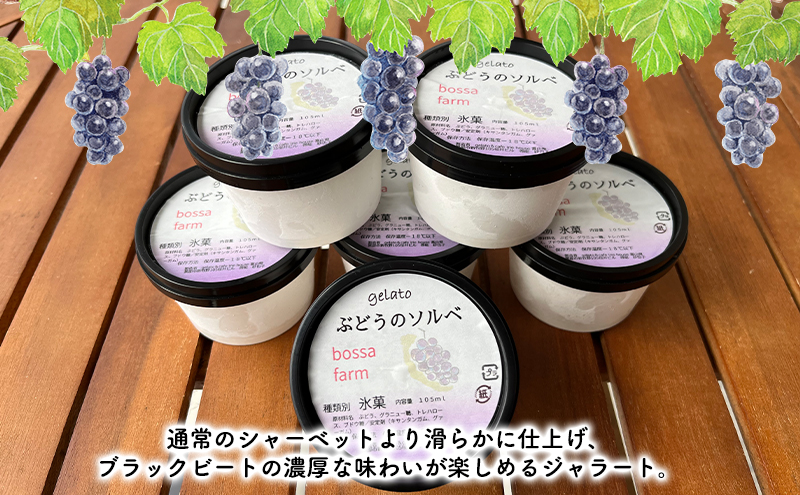 ジェラート 「ぶどうのソルベ」6個入り/アイス シャーベット デザート ブドウ フルーツ 小分け /富山県黒部市