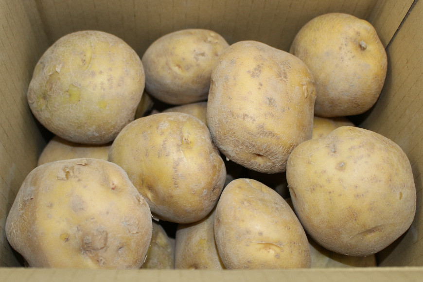 黒部産 じゃがいも（北あかり）3kg/くろべの太陽/富山県 黒部市