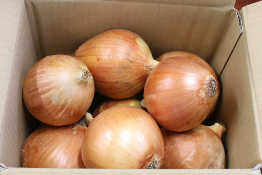 玉ねぎ 1箱 約3kg（L大サイズ）/くろべの太陽/富山県 黒部市