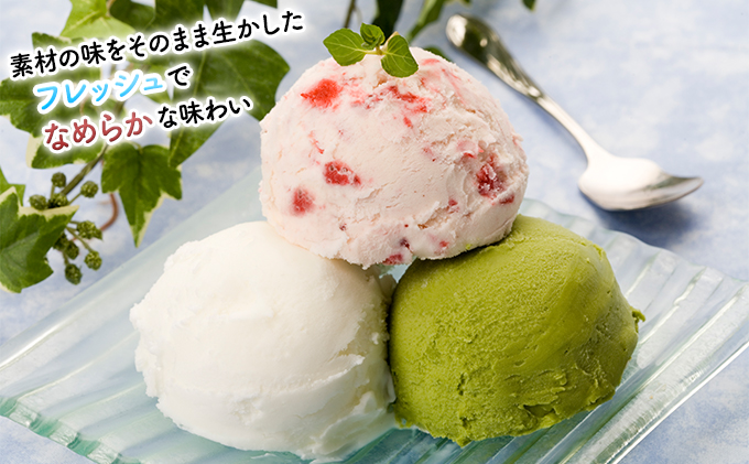 KAMANARIYA　イタリアンジェラート 12個