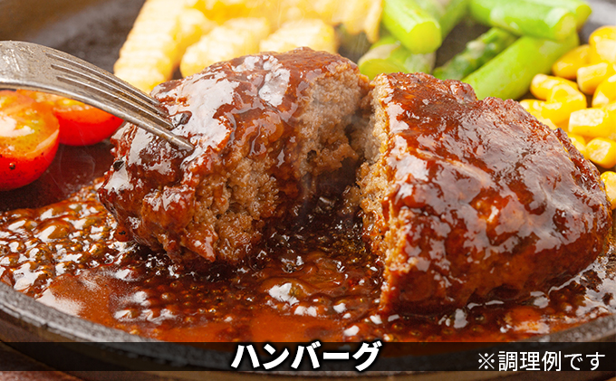 黒部名水ハンバーグ10個・しゃぶしゃぶ用肉（約250g）/ふるさと納税/富山県黒部市