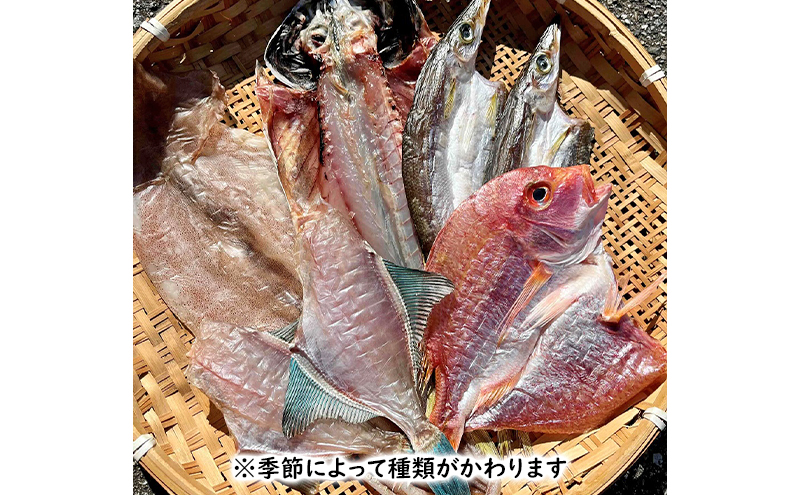 できたて干物セット 4～5種 おまかせ 富山県黒部市/産地直送 旬 魚介 魚 さかな 詰め合わせ ひもの 富山湾 名水 産地直送 生地