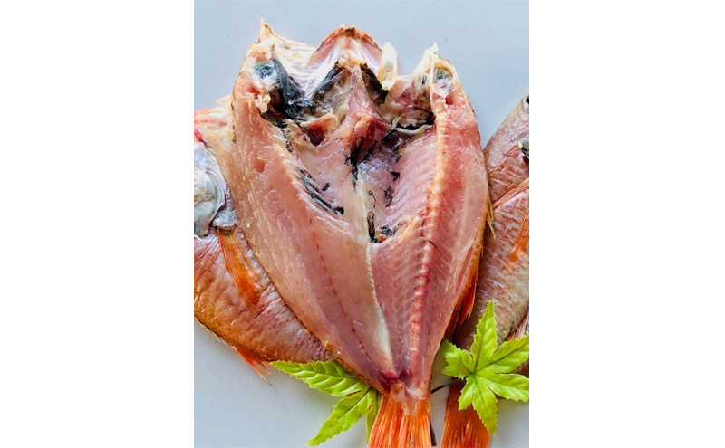 【数量限定】脂のり抜群！黒部産のどぐろ干物セット（3～4枚）約0.9～1.0kg 富山県黒部市/産地直送 旬 魚介 魚 さかな