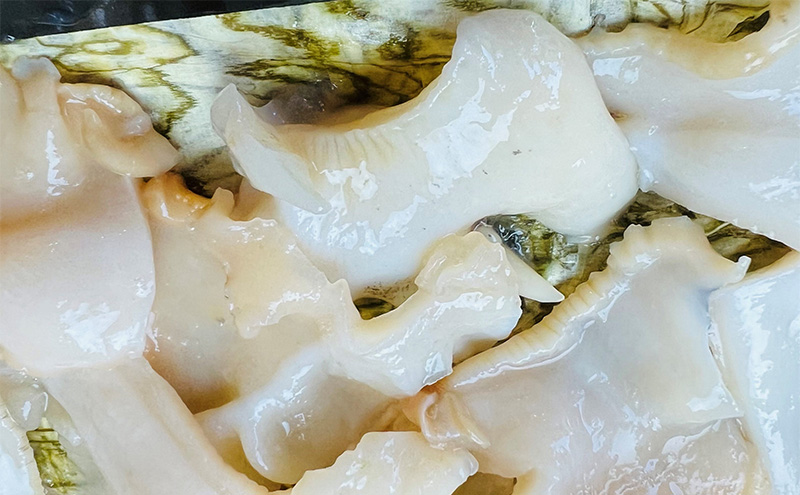 富山湾産バイ貝 大ぶりバイ貝朧昆布締め150ｇ（50ｇ×3） 富山県黒部市/贈答 漁師直販 恵比須丸