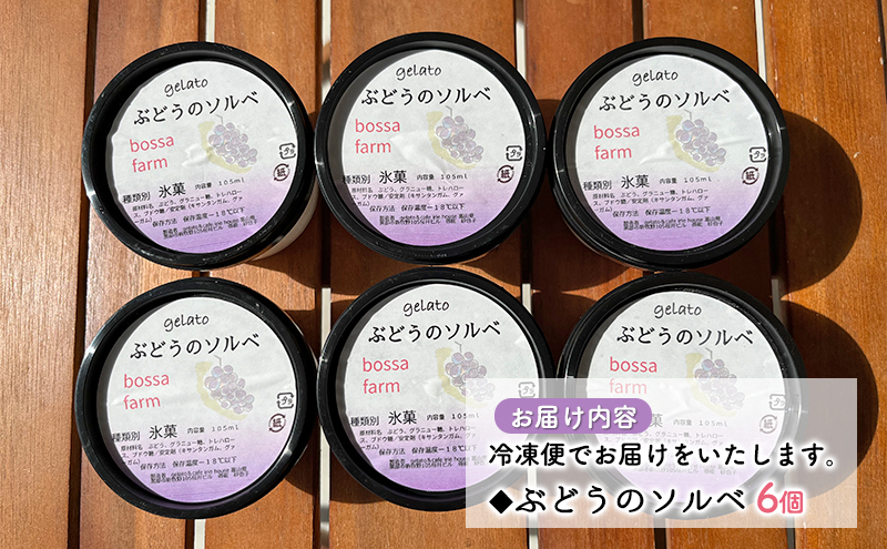 ジェラート 「ぶどうのソルベ」6個入り/アイス シャーベット デザート ブドウ フルーツ 小分け /富山県黒部市