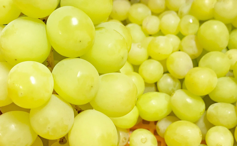 無添加 干しぶどう 合計10袋/ マスカットベーリーA（種あり）5袋＆干しぶどう シャインマスカット5袋/期間限定 国産 レーズン ドライフルーツ 砂糖不使用