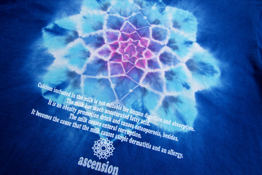 Tシャツ ASCENSION  藍染め タイダイ TシャツD 1枚 L