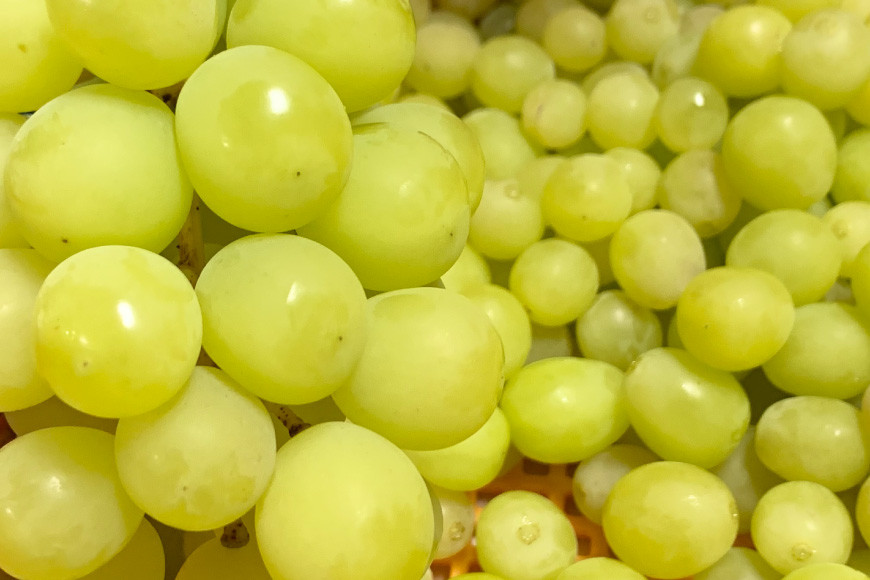 無添加 干しぶどう シャインマスカット 40g×1袋 期間限定 国産 レーズン ドライフルーツ 砂糖不使用