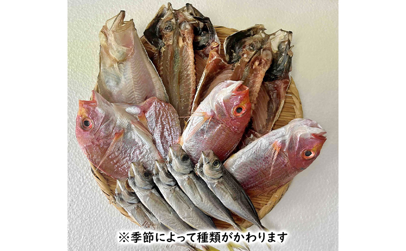 できたて干物セット 4～5種 おまかせ 富山県黒部市/産地直送 旬 魚介 魚 さかな 詰め合わせ ひもの 富山湾 名水 産地直送 生地