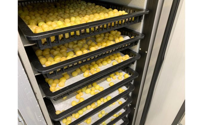 無添加 干しぶどう シャインマスカット 40g×2袋 期間限定 国産 レーズン ドライフルーツ 砂糖不使用