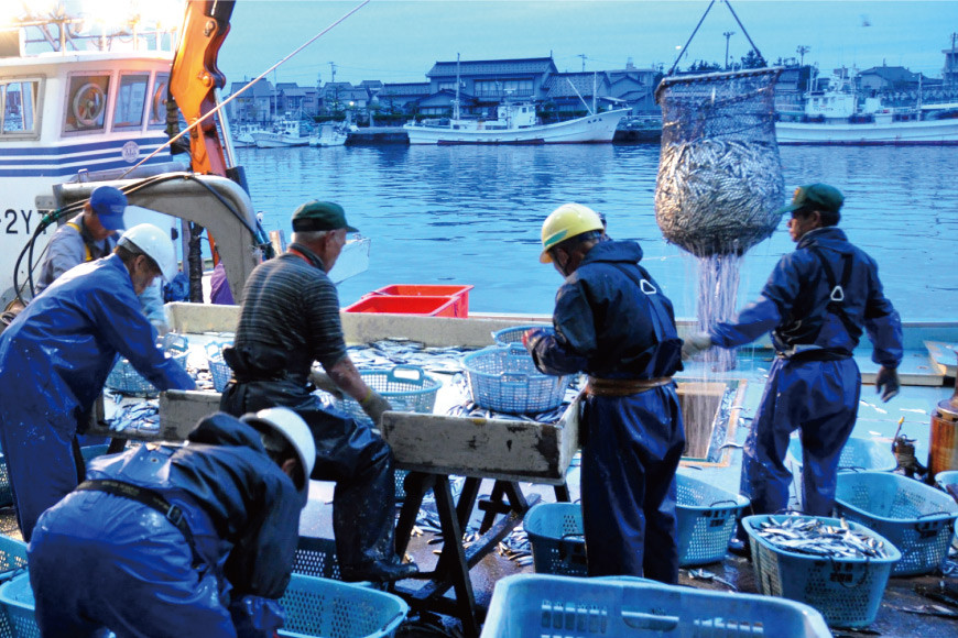 魚 富山湾直送 とれたて鮮魚セット 約1.5～2.5kg 旬 新鮮 鮮魚 詰め合わせ 産地直送 冷蔵/くろべ漁業協同組合 魚の駅「生地」/富山県  黒部市: 黒部市ANAのふるさと納税