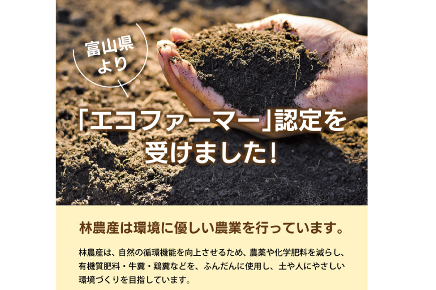 米 精米 コシヒカリ 5kg コメ ご飯 ごはん 白米/林農産/富山県 黒部市