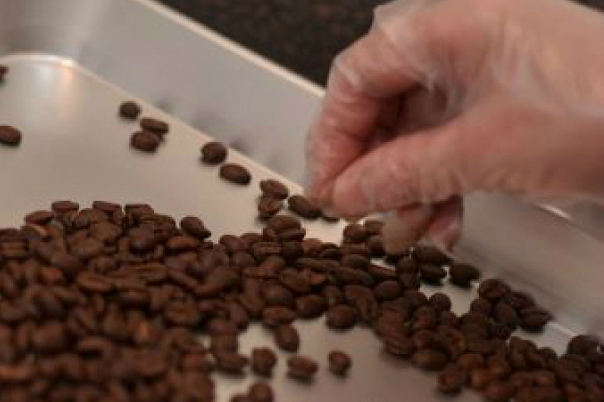 カップオンコーヒー 30袋 ギフト箱入り ドリップバッグ コーヒー 珈琲/北山物産「水の時計」/富山県 黒部市