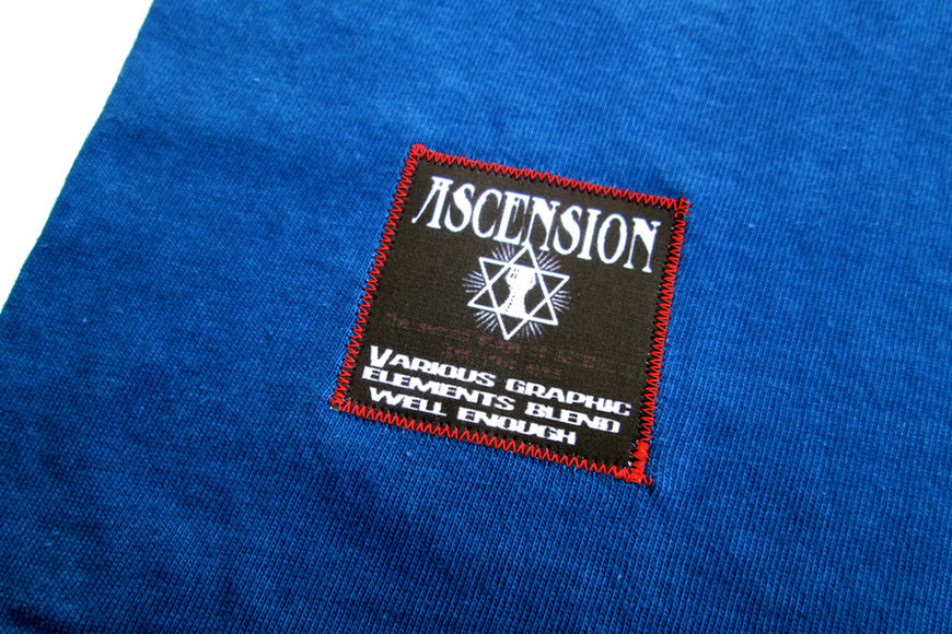 Tシャツ ASCENSION  藍染め タイダイ TシャツD 1枚 L