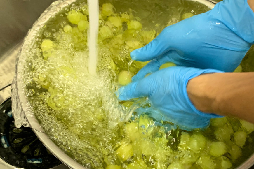 無添加 干しぶどう シャインマスカット 40g×1袋 期間限定 国産 レーズン ドライフルーツ 砂糖不使用