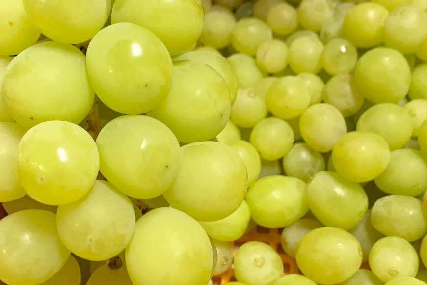 無添加 干しぶどう 3種セット 各40g×1袋 計3袋 食べ比べ 期間限定 国産 レーズン ドライフルーツ 砂糖不使用