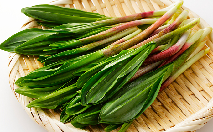 【黒部市特産品】行者にんにく醤油漬け3瓶セット/富山県黒部市