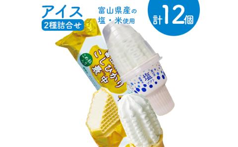 アイス 詰め合わせ 塩ソフト＆富山県産こしひかり最中 計12個 アイスクリーム ソフトクリーム モナカ/横山冷菓/富山県 黒部市