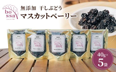 無添加 干しぶどう ボッサの干しぶどう 40g×5袋 マスカットベーリーA（種あり）国産 レーズン ドライフルーツ 砂糖不使用/富山県黒部市