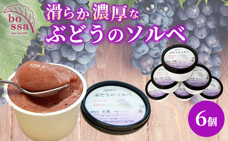ジェラート 「ぶどうのソルベ」6個入り/アイス シャーベット デザート ブドウ フルーツ 小分け /富山県黒部市