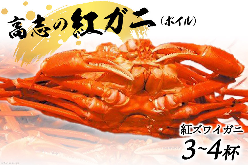 紅 ズワイガニ ボイル「高志の紅ガニ」3～4杯《10月前半～5月後半お届け》カニ 蟹 期間限定 冷蔵/くろべ漁業協同組合 魚の駅「生地」/富山県 黒部市