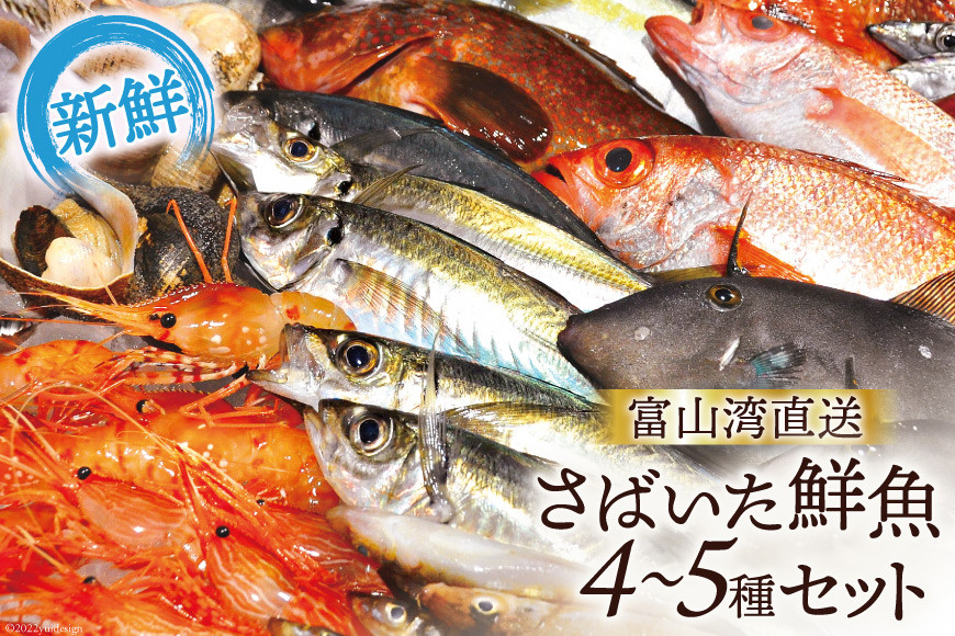 魚 富山湾直送 さばいた鮮魚セット 4～5種 旬 新鮮 鮮魚 刺身 詰め合わせ 産地直送 冷蔵/くろべ漁業協同組合 魚の駅「生地」/富山県 黒部市