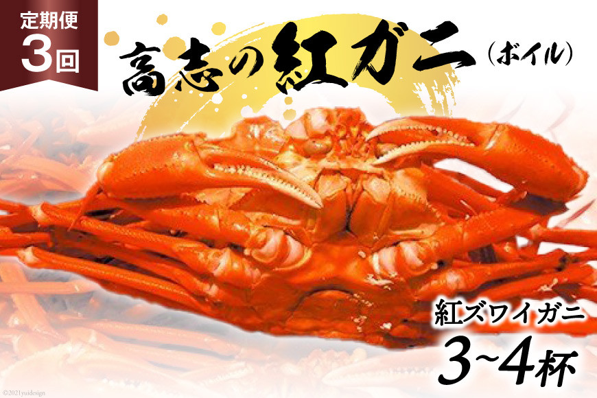 定期便 紅 ズワイガニ ボイル 高志の紅ガニ 3～4杯×3回 カニ 蟹 期間限定 冷蔵/くろべ漁業協同組合 魚の駅「生地」/富山県 黒部市