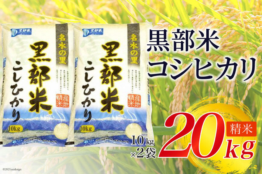 【令和7年産】黒部米 コシヒカリ 10kg×2袋 計20kg 精米