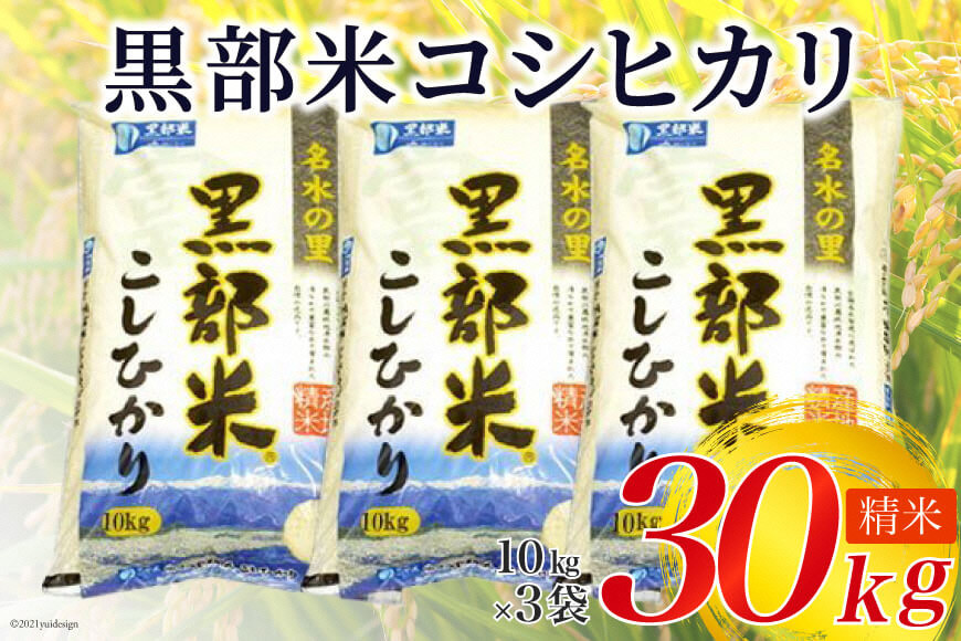 【令和7年産】 黒部米 コシヒカリ 10kg×3袋 計30kg 精米