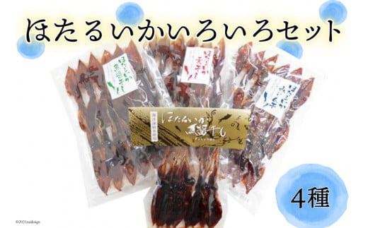 ほたるいかいろいろセット