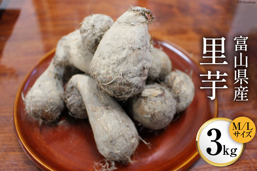 富山県産 里芋 3kg/くろべの太陽/富山県 黒部市
