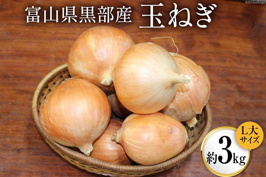 玉ねぎ 1箱 約3kg（L大サイズ）/くろべの太陽/富山県 黒部市