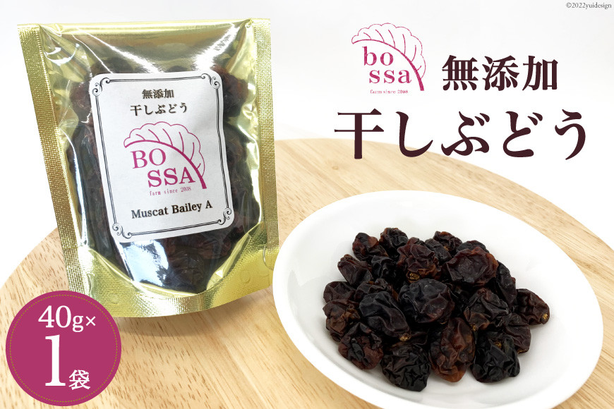 無添加 干しぶどう ボッサの干しぶどう 40g×1袋 マスカットベーリーA（種あり）国産 レーズン ドライフルーツ 砂糖不使用