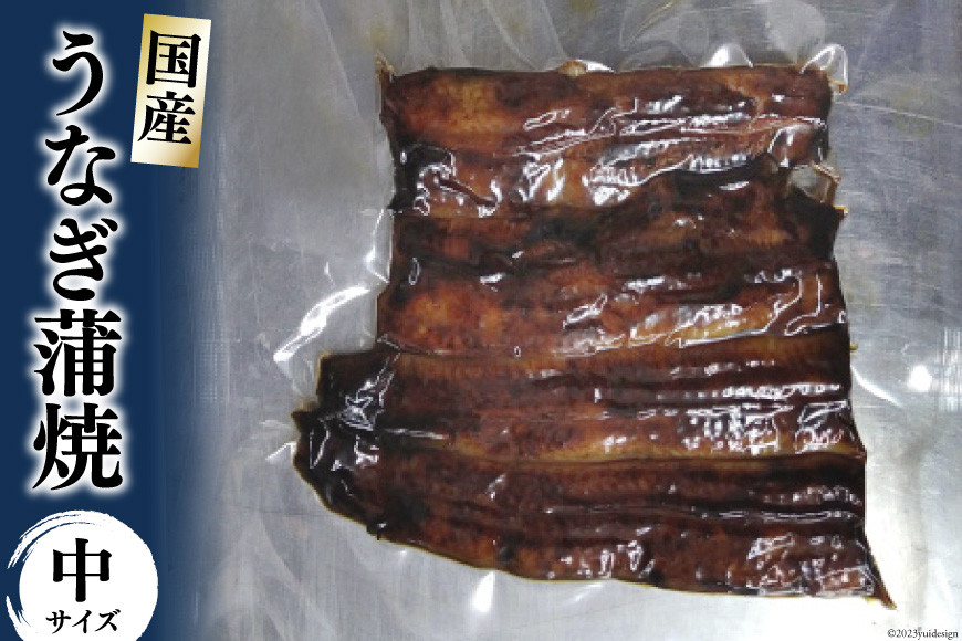 うなぎ蒲焼 真空パック 冷凍（中）/長次郎　膳/富山県 黒部市 うなぎ 国産 鰻 蒲焼