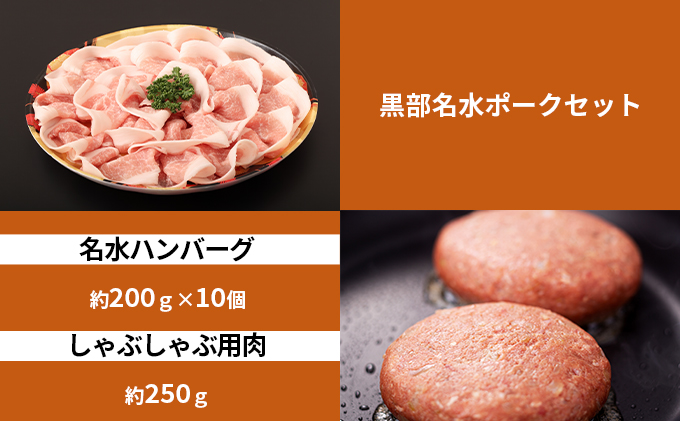 黒部名水ハンバーグ10個・しゃぶしゃぶ用肉（約250g）/ふるさと納税/富山県黒部市