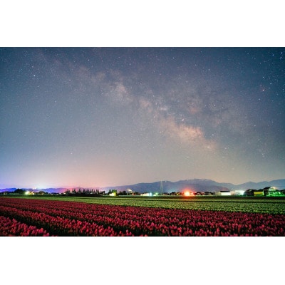 【まると牛乳のお試しセット】富山県砺波市から乳製品詰め合わせ【配送不可地域：離島・北海道・沖縄県】