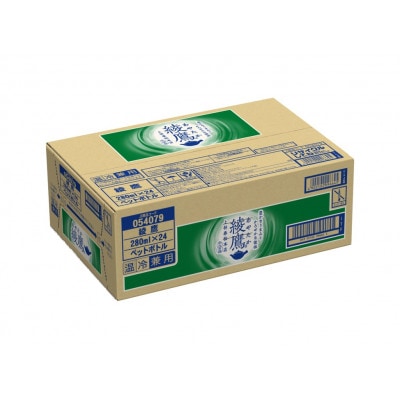 綾鷹　温冷兼用280mlPET×24本