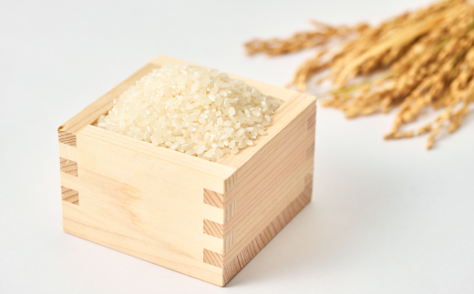 増山城御城印・戦国米(5kg)セット