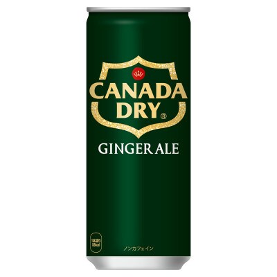 カナダドライジンジャーエール250ml缶×30本