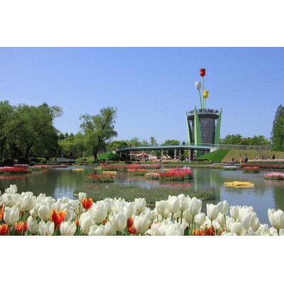 【まると牛乳】　富山県砺波市から瓶製品　牛乳・珈琲　お届け【配送不可地域：離島・北海道・沖縄県】