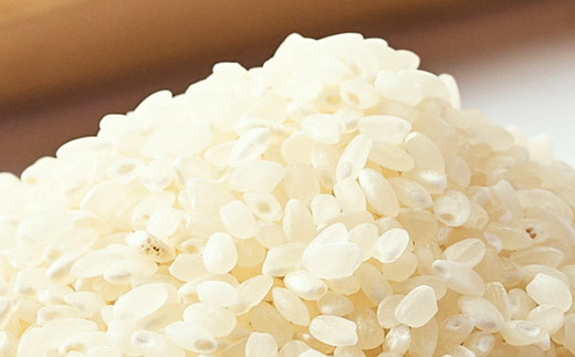 【令和7年産】となみ野米こしひかり5kg