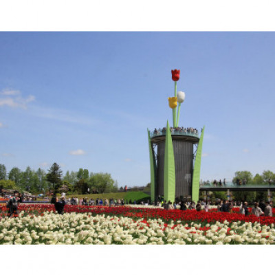 【まると牛乳】ヨーグルトスパウト 700g　無糖・甘みつきセット【配送不可地域：離島】