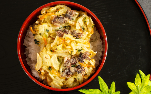 富山産ほたるいか入りかき揚げ【かき揚げ丼の具10食セット】【配送不可地域：離島】