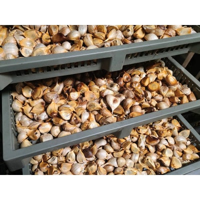 富山県産プレミアム熟成黒にんにく150g×3袋(砺波市)