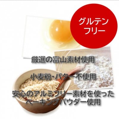 【グルテンフリー】焼き菓子セット10個入 高道フィナンシェ -よいもの富山- ＆ふわしとショコラ