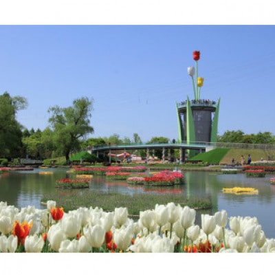 【毎月定期便】【まると牛乳】富山県砺波市から瓶製品　牛乳・珈琲　6本セット全3回【配送不可地域：離島・北海道・沖縄県】