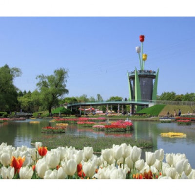 【毎月定期便】【まると牛乳】富山県砺波市から瓶製品　牛乳・珈琲　6本セット全6回【配送不可地域：離島・北海道・沖縄県】