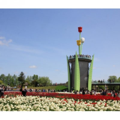 【毎月定期便】【まると牛乳】ヨーグルトスパウト 700g　無糖・甘みつきセット全3回【配送不可地域：離島】